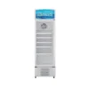 Hisense 242L FL32FC Showcase Fridge